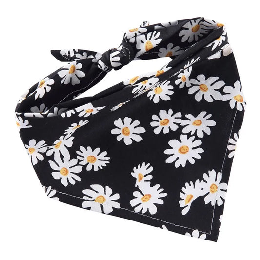 Spring Black and White Flowers