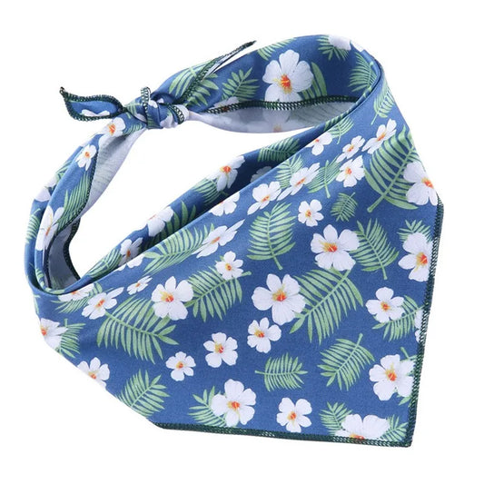 Spring Blue and White Flowers
