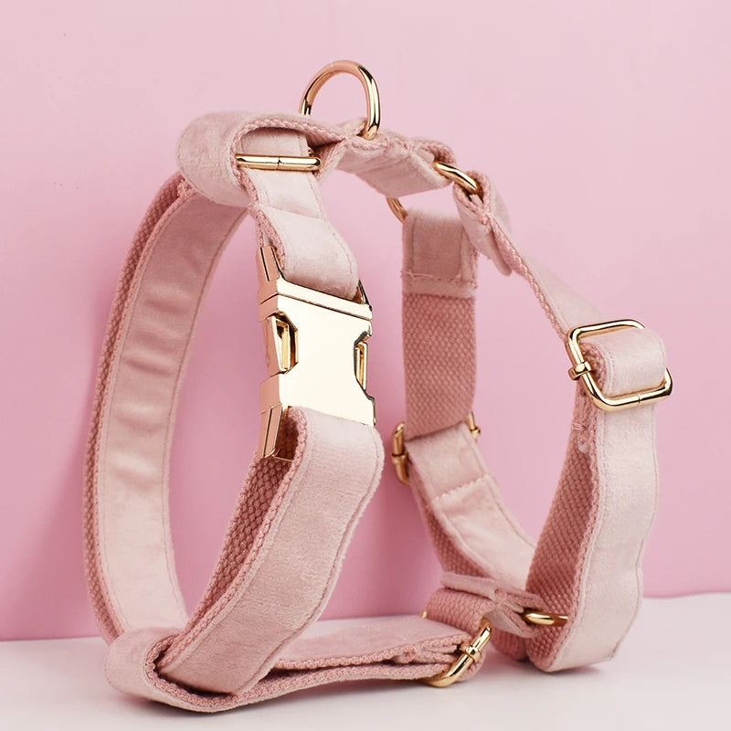 Velvet Luxury Personalized Pet Set – Harness, Collar with Bow, Leash & Poop Bag Holder