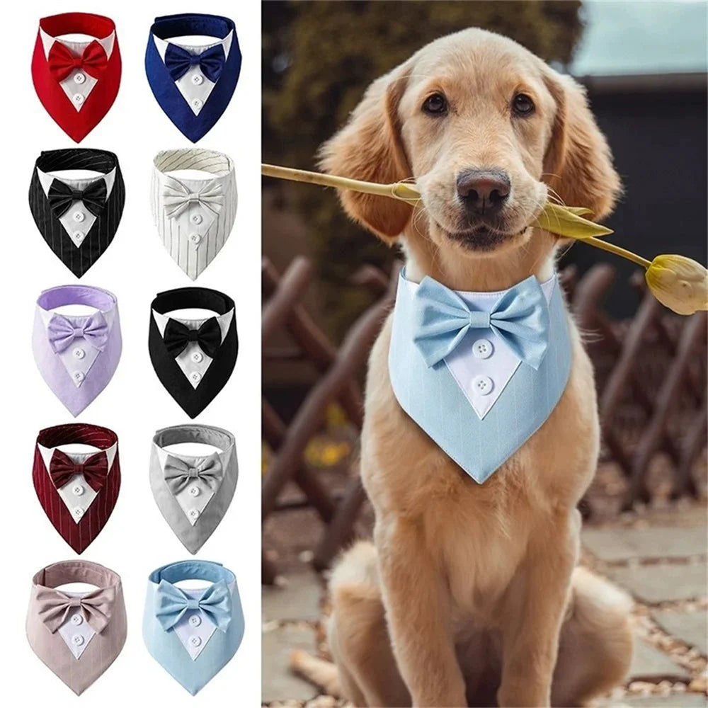Elegant Stripe Pink Tuxedo Dog Bandana