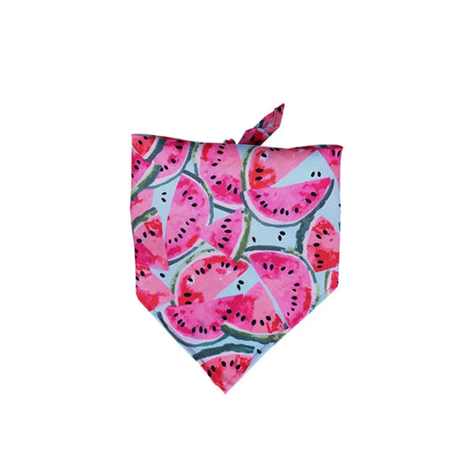 Pink Watermelon Bandana