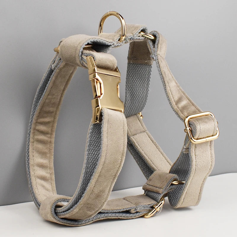 Velvet Luxury Personalized Pet Set – Harness, Collar with Bow, Leash & Poop Bag Holder