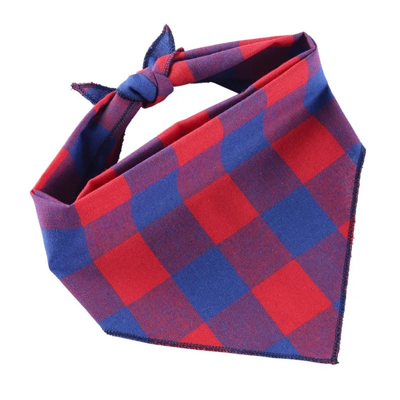 Spring Red and Blue Bandana