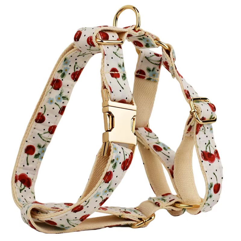 Luxury Personalized Pet Set – Harness, Collar with Bow, Leash & Poop Bag Holder