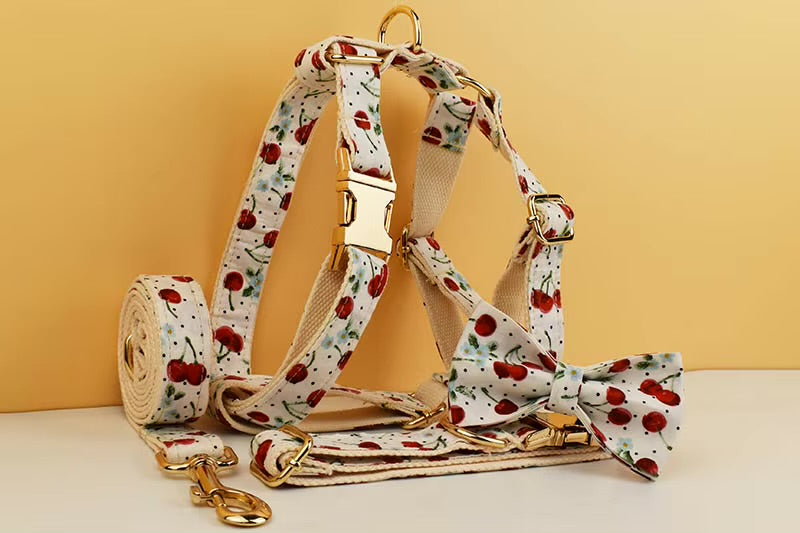Luxury Personalized Pet Set – Harness, Collar with Bow, Leash & Poop Bag Holder