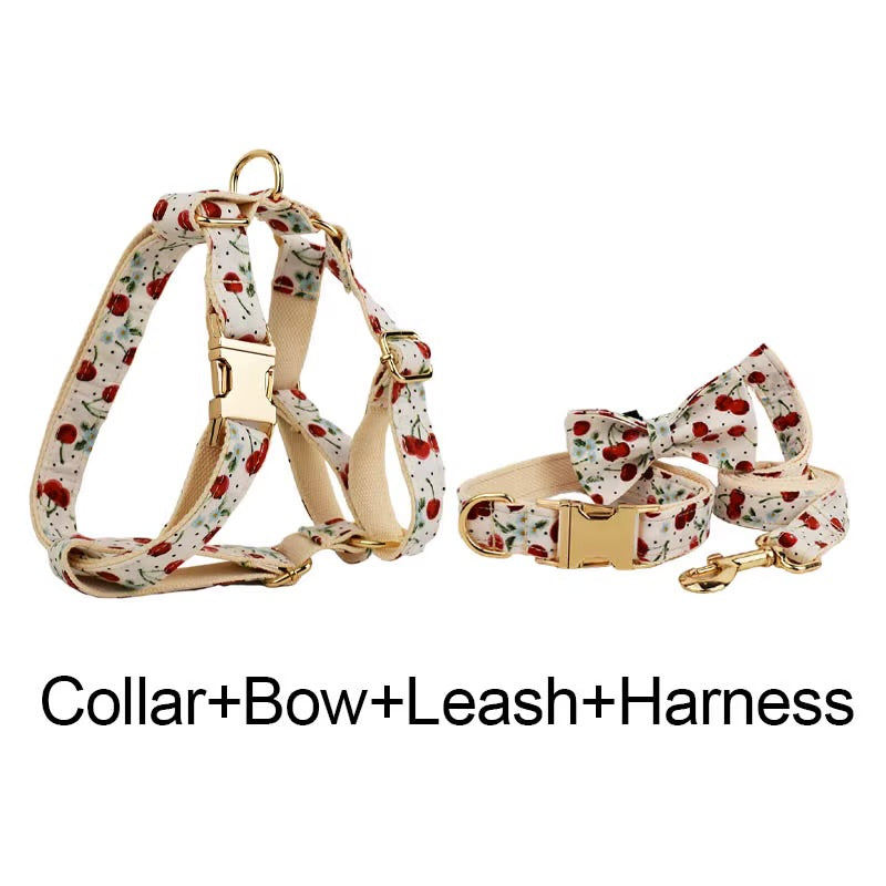 Luxury Personalized Pet Set – Harness, Collar with Bow, Leash & Poop Bag Holder