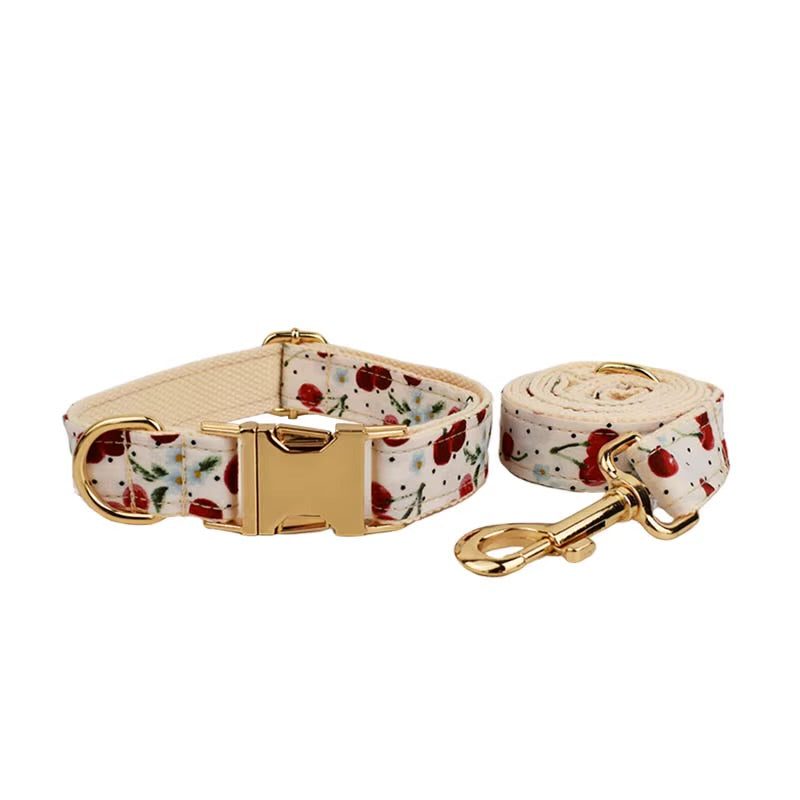 Luxury Personalized Pet Set – Harness, Collar with Bow, Leash & Poop Bag Holder