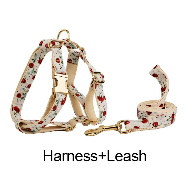 Luxury Personalized Pet Set – Harness, Collar with Bow, Leash & Poop Bag Holder