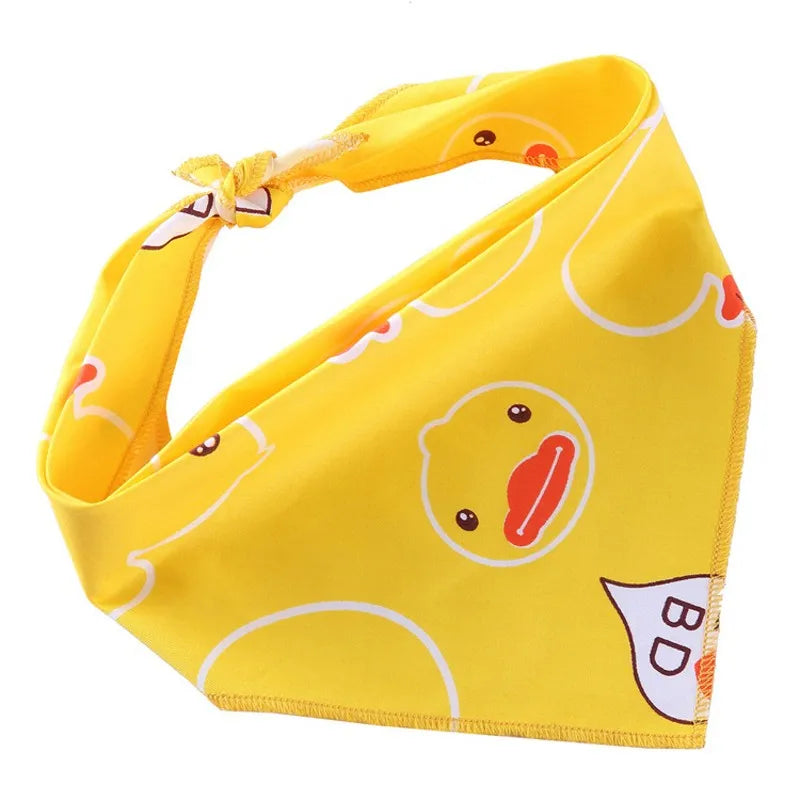 Spring Duck Bandana